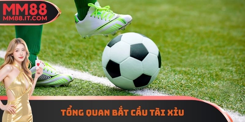 Tổng quan bắt cầu tài xỉu